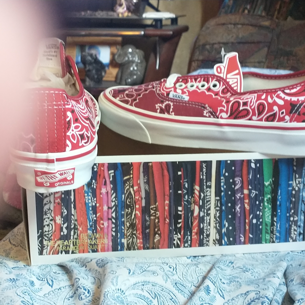 Reg rag pattern vans